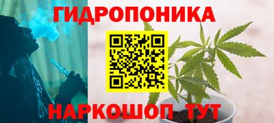 PSILOCYBIN Новодвинск