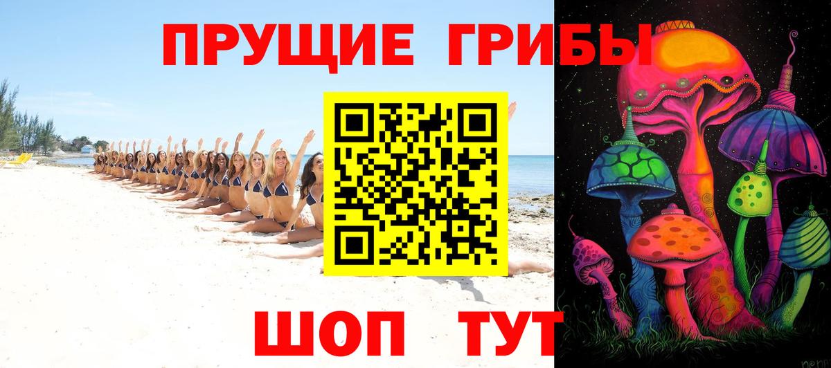 Галлюциногенные грибы Psilocybe Черкесск